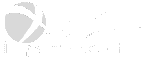 Logo da STX Import